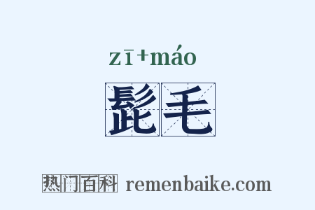 髭毛是什么意思的图片